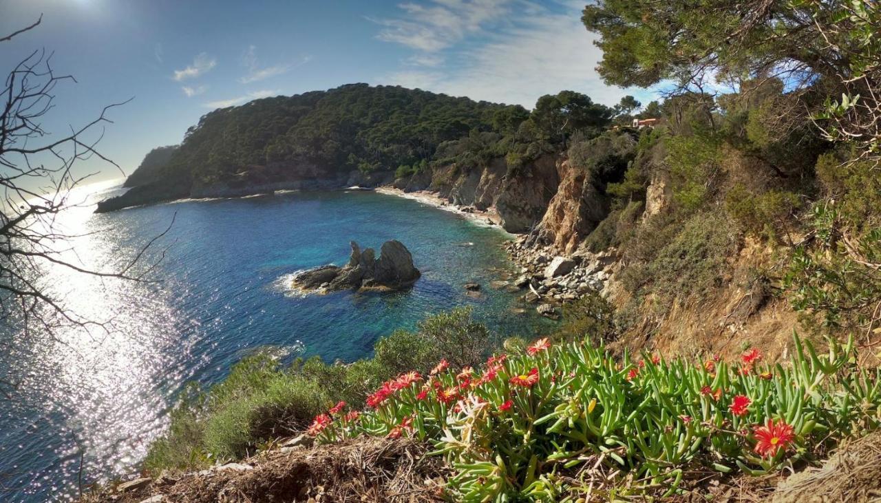 Studio Proche Port Et Plages, Piscine Hyeres Exterior photo